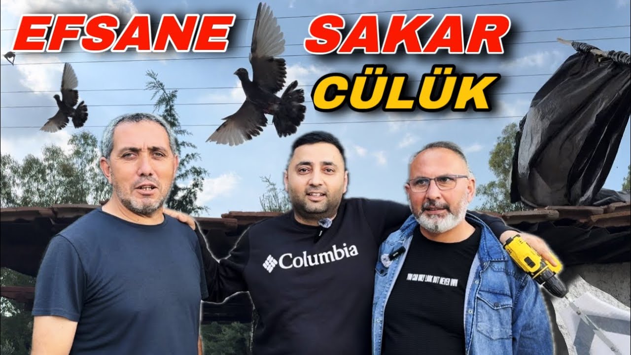 KARTAL GİBİ ARAP ADANA GÜVERCİNİ !!! YEŞİL CUMALİ