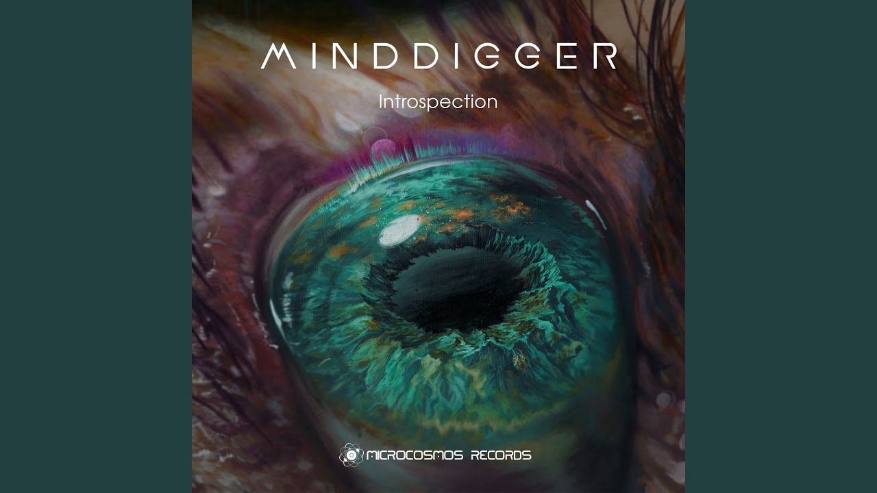 Introspection