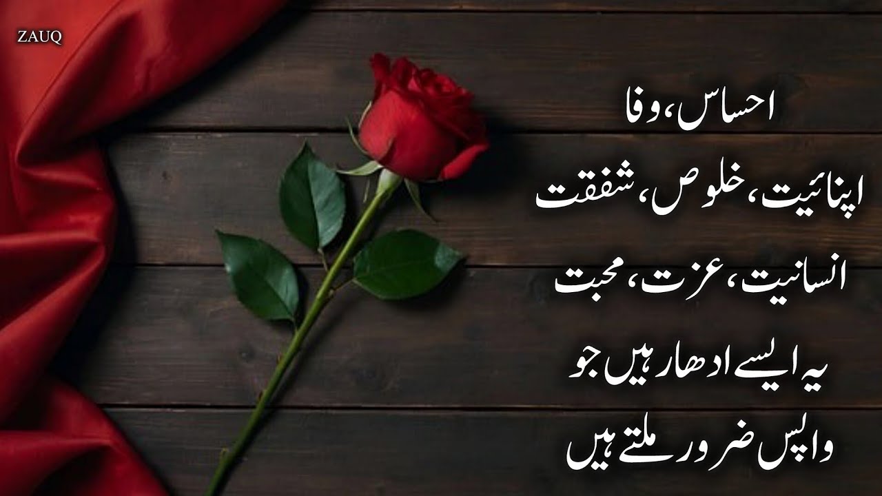 Urdu Quotes That Will Change Your Life Forever l  Zauq 