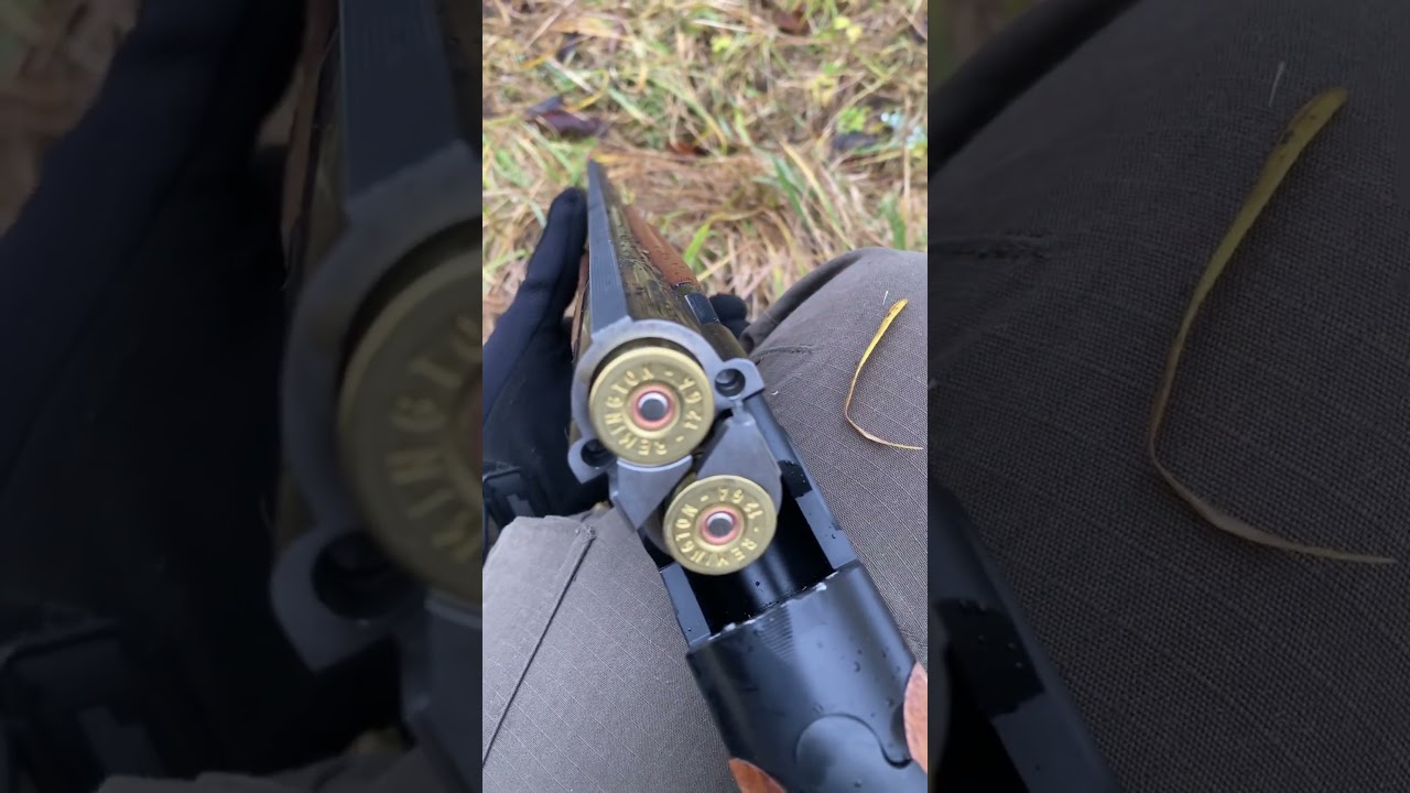 ATA Arms SP, Remington, winter hunting.