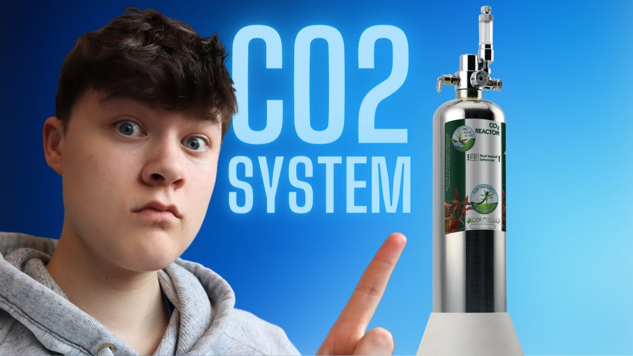 UNBOXING & SETTING UP The Colombo CO2 Reactor!