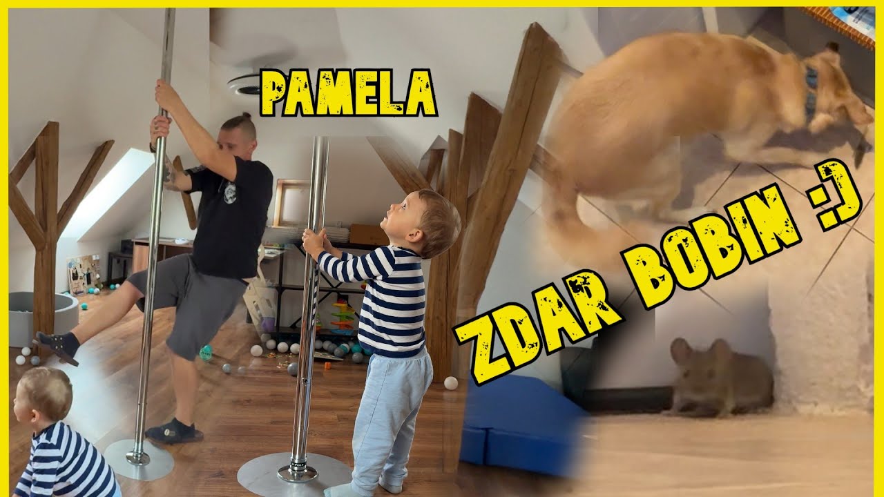 🚽 Když si klidně kálíš… a proběhne ti myš mezi nohama 🐭 Marťa tancuje už půl roku u TYČE - Žílog_230