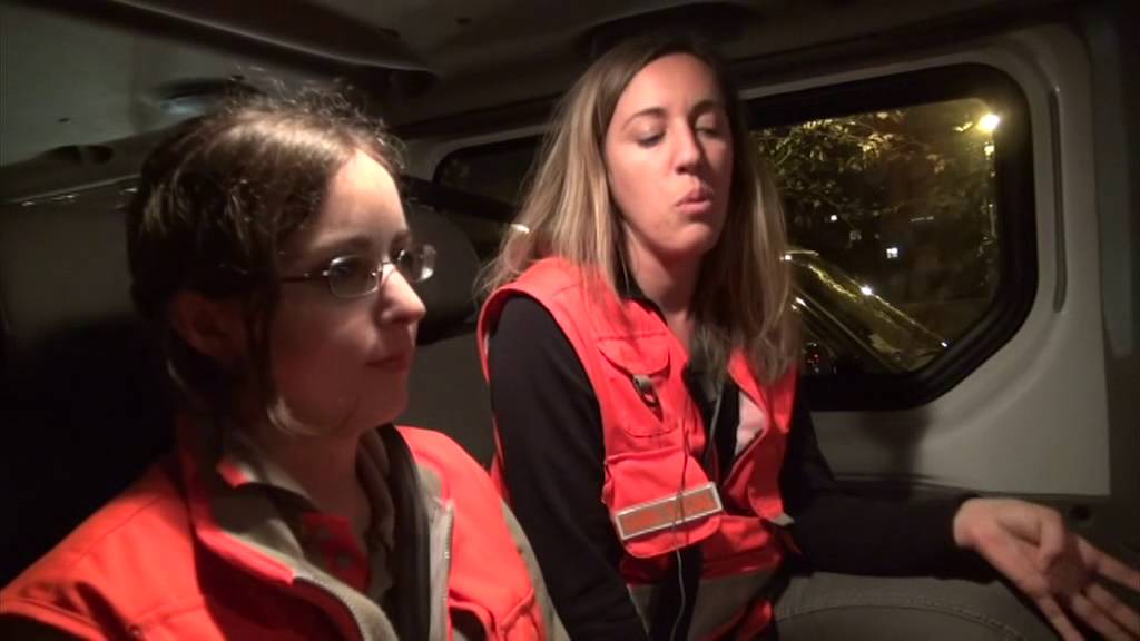 Une soirée de maraude