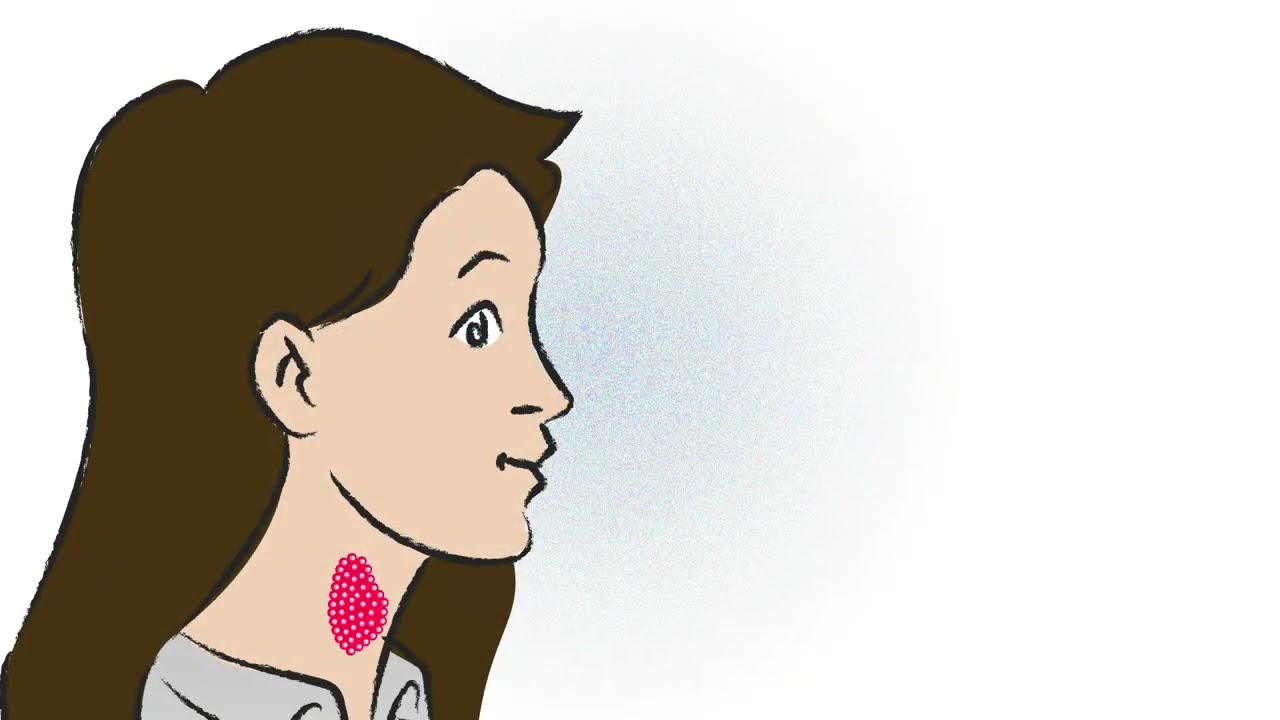Folge 1: Lage, Aufgaben und hormoneller Regelkreis der Schilddrüse