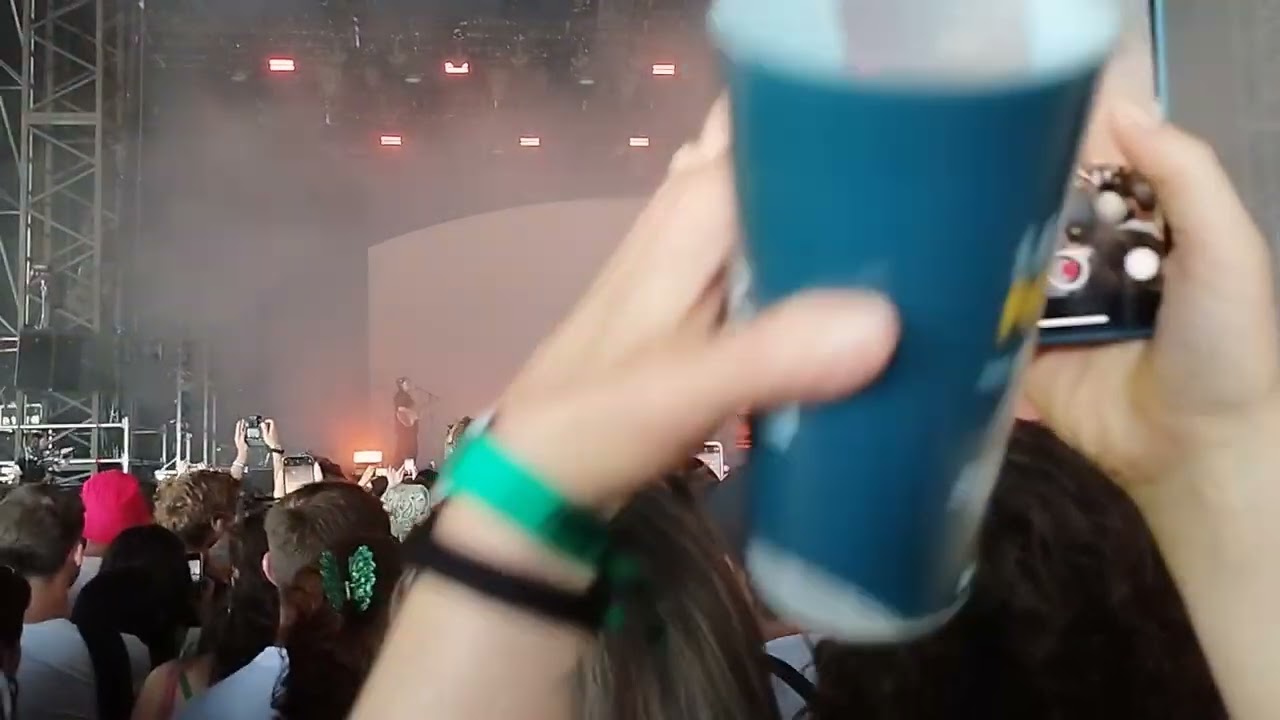 Disiz - Tue l'amour @We Love Green