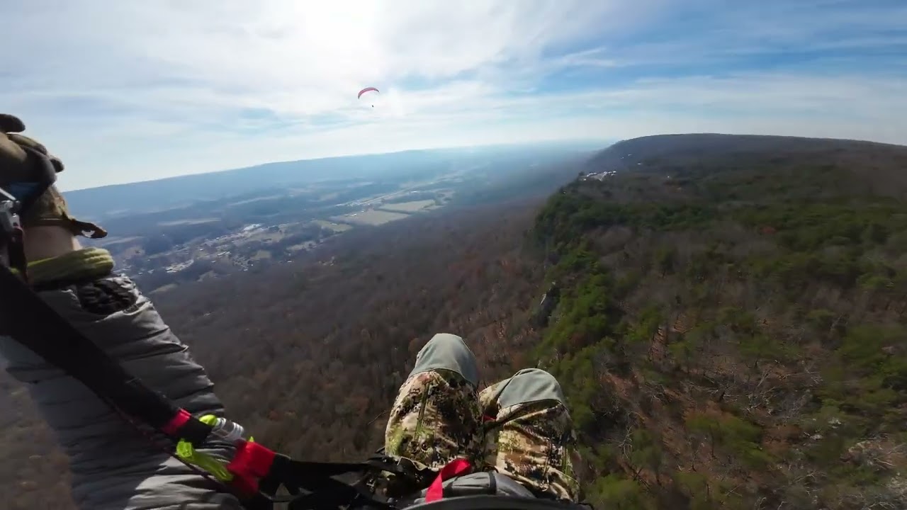 Just beeps, radio chatter and wind noise. Ozone Buzz Z7