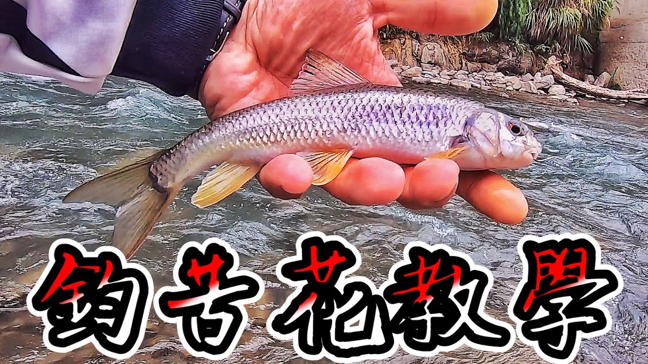 學會這幾招，制霸溪流！！！從來沒溪釣過，第一次就上手