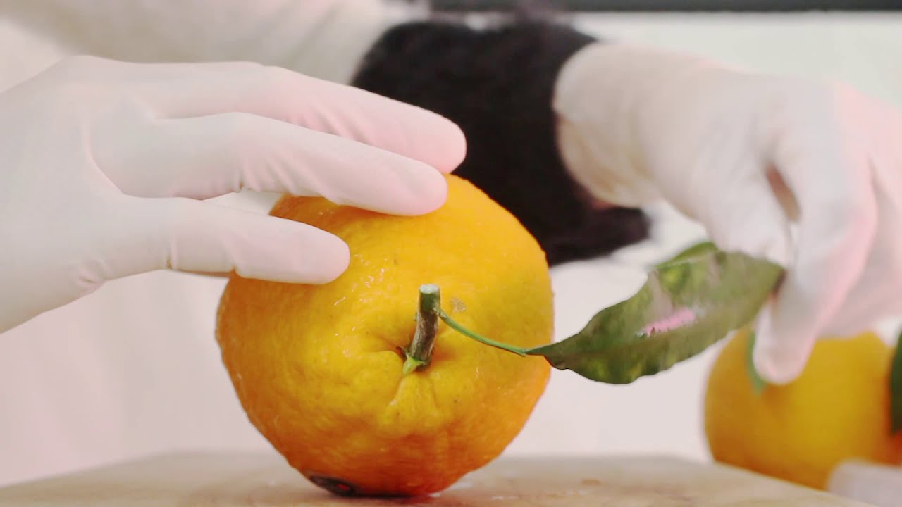 [ASMR] 한라보옹 l 과즙 가득한 한라봉🍊💦 먹어보자 :D