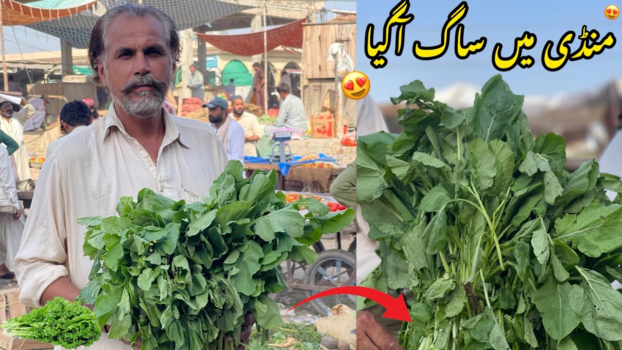 Mandi Mein Saag Aa Gaya Or Sab Vegetables Kay Rates Batae😍