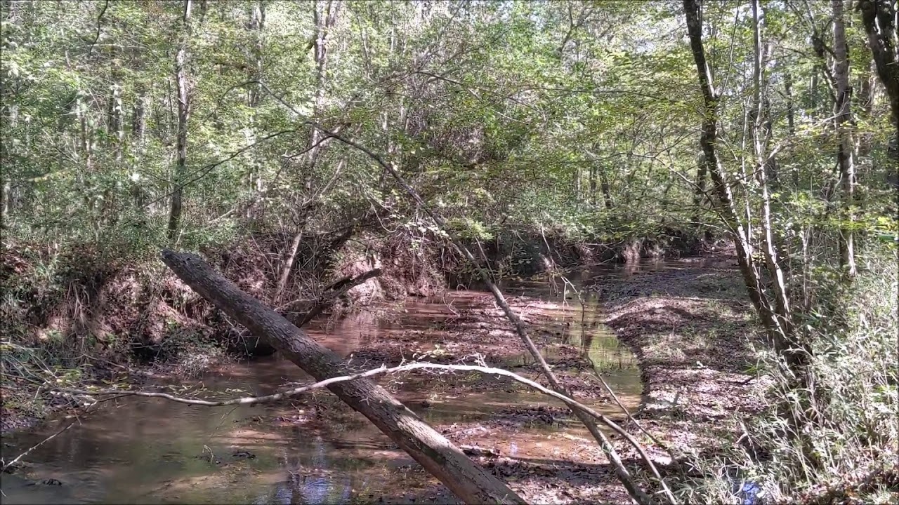 Falling Creek Trail, Oconee National Forest