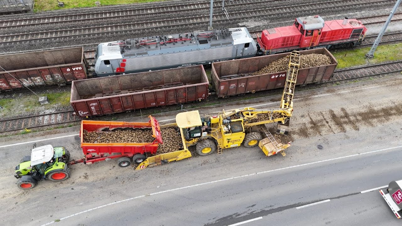 Bahnratte Ropa Euro Maus 3  beim Rübenverlad 🇨🇭🚂🚜 in Dagmersellen