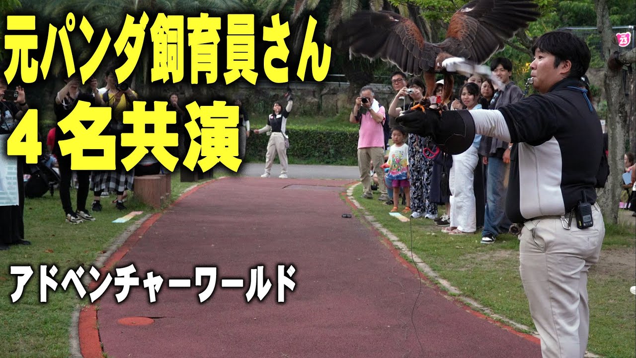 【ナイトふれあいパーク最終】パンダに変わる盛り上がり・絶好調 楓浜見たか～！