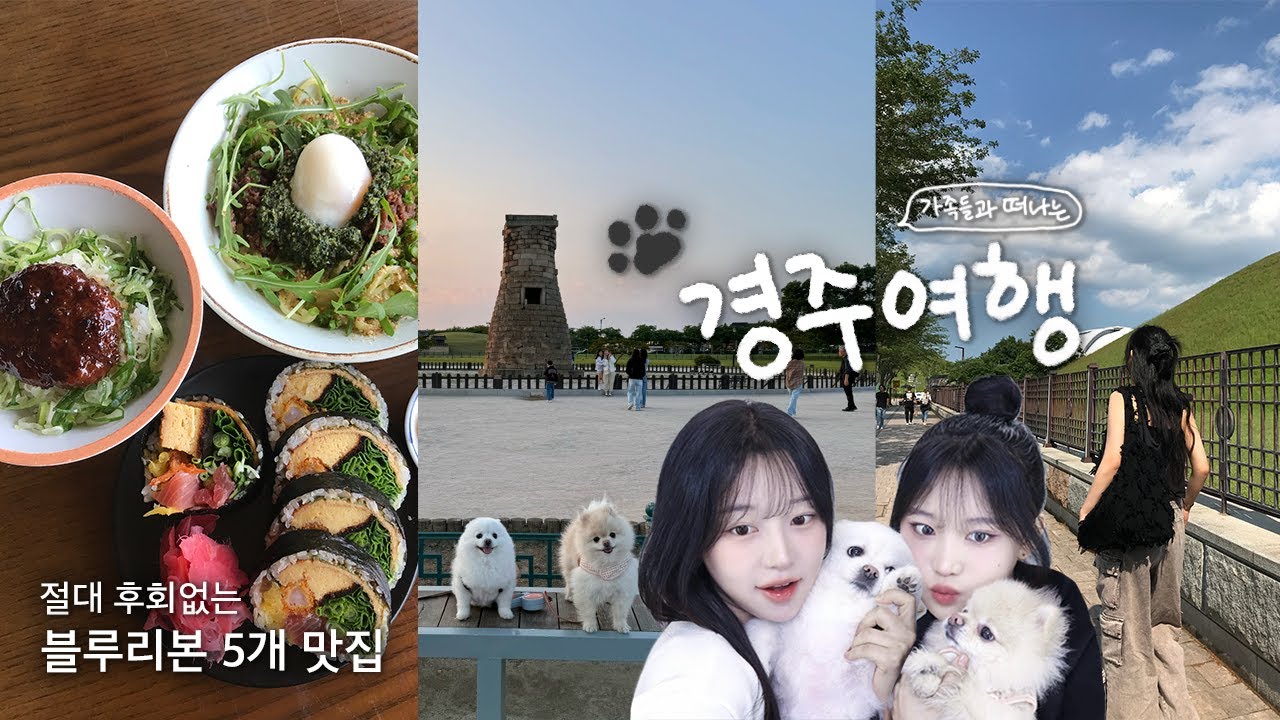 여동생, 멈머들과 경주여행🌳❤︎ 후회없는 블루리본 맛집 • 애견펜션 • 대릉원 • 첨성대 • 존맛 십원빵ㅣVLOG