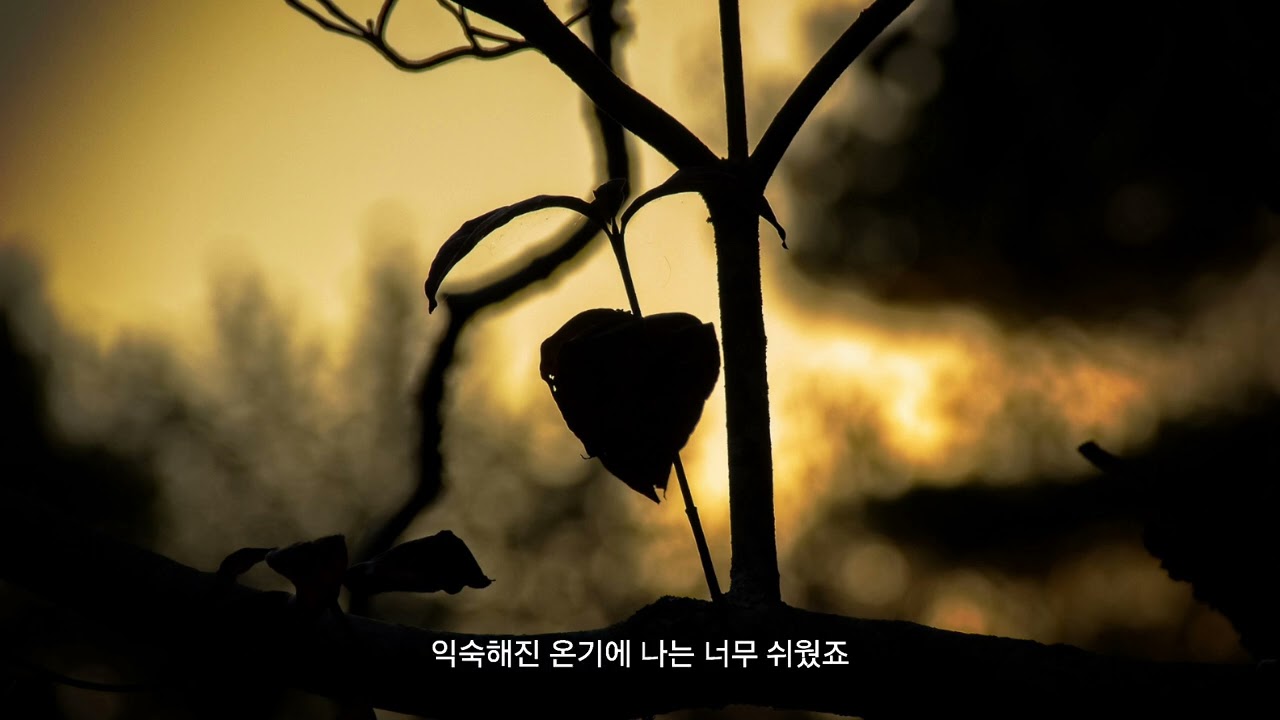 미안해요 (Female Ver)