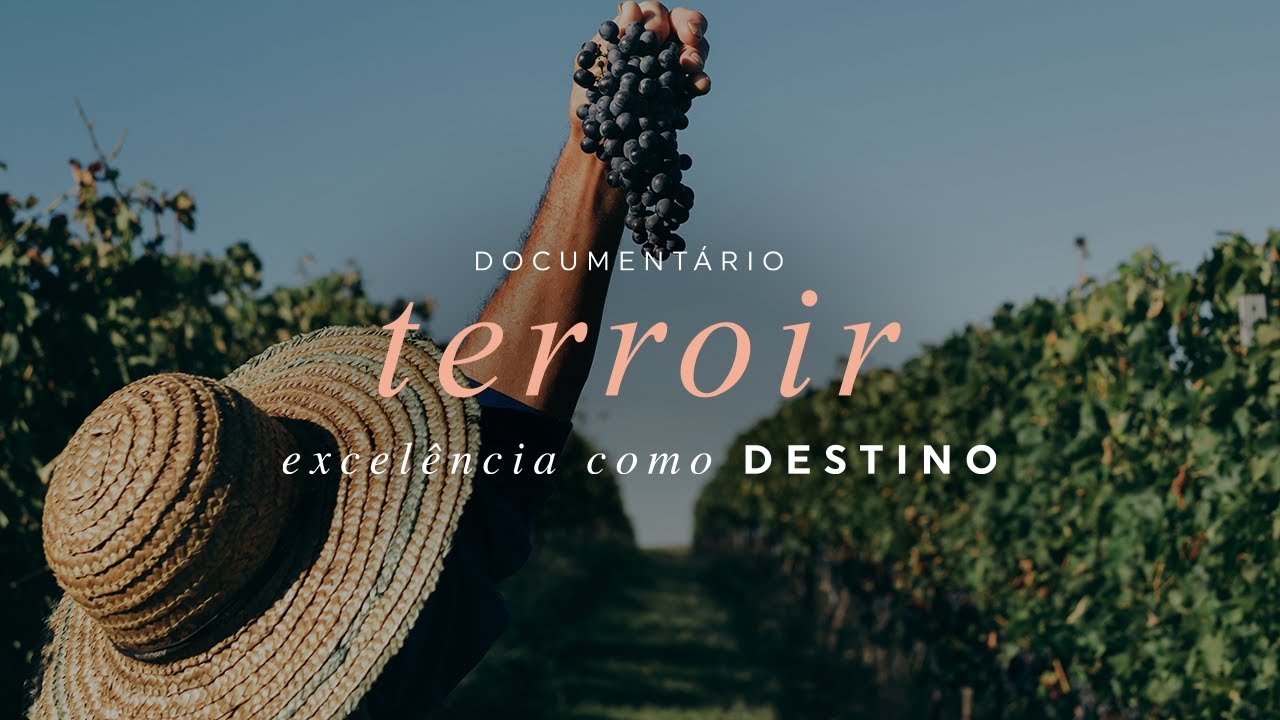 Documentário - Família Salton: Excelência como destino – Terroir