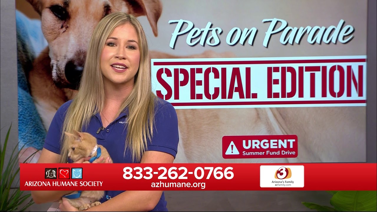 2018 Pets on Parade Summer Special