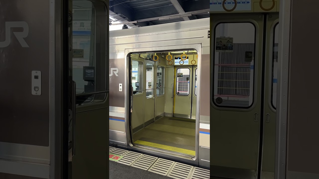 【高槻駅】昇降式ロープ柵よりも安心感ある！223系快速のドアが閉まるシーン