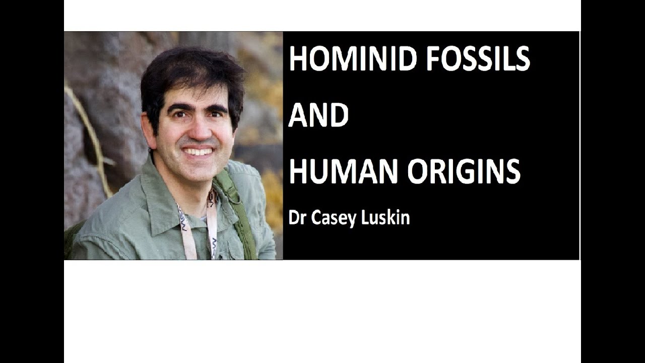 Hominid Fossils and Human Origins