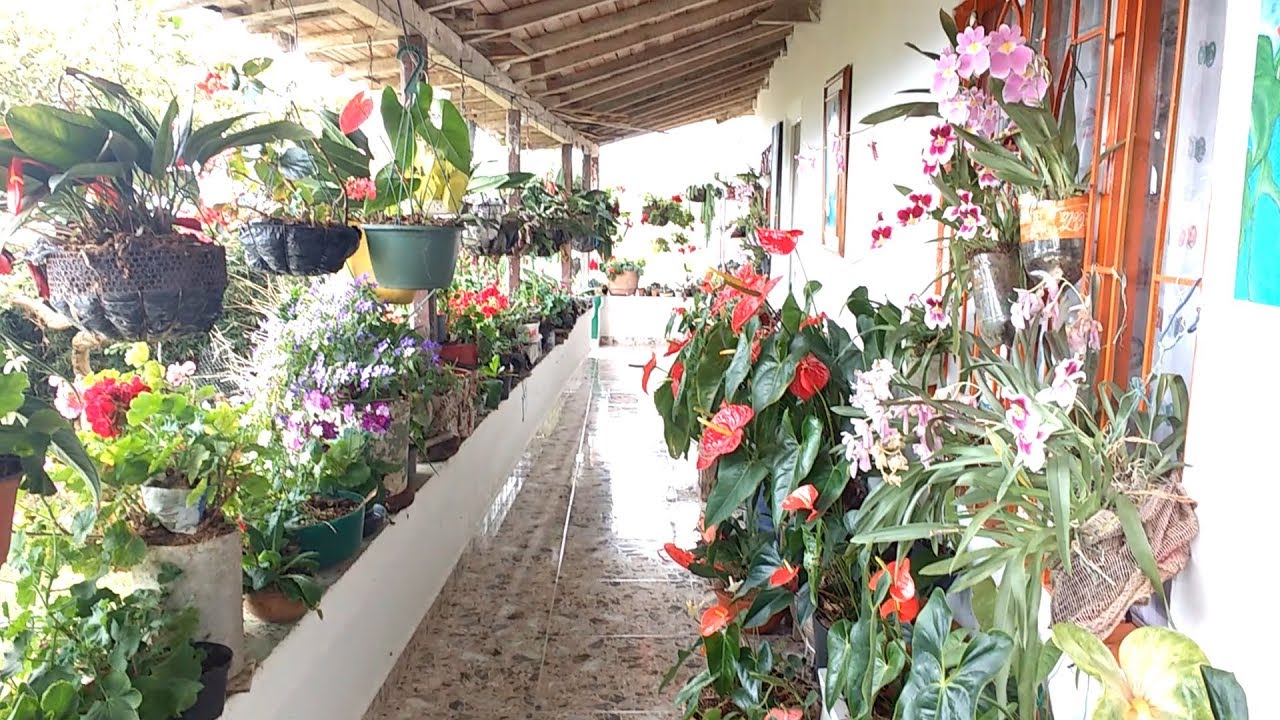 Tour por el jardín de mi vecina Nohelia│Candy Bu