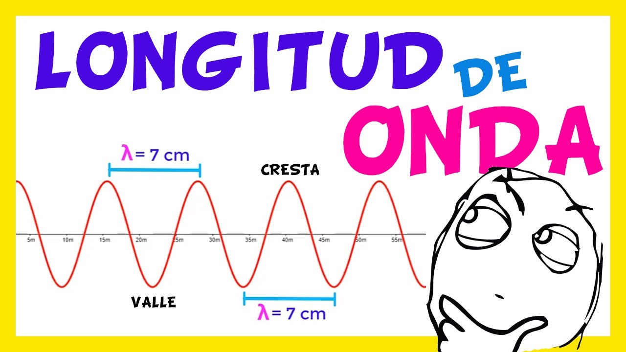 🎯Que es la 𝗟𝗢𝗡𝗚𝗜𝗧𝗨𝗗 𝗱𝗲 𝗢𝗡𝗗𝗔 🌊​ Como se mide la longitud de una Onda✅​Ejercicios de Longitud de Onda