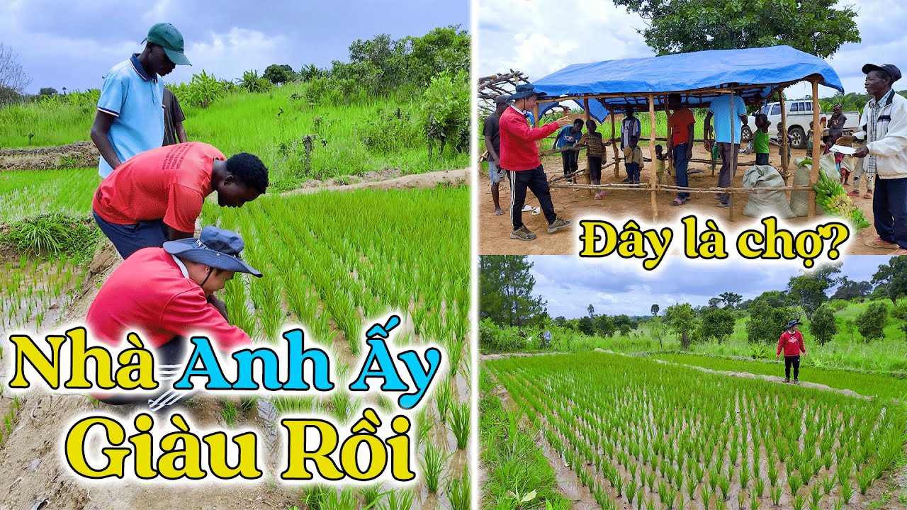 Đông Paulo || Em Matel Ngạc Nhiên Với Gia Tài Kếch Xù Và Tư Duy Phát Triển Kinh Tế Của Anh Tổ Trưởng