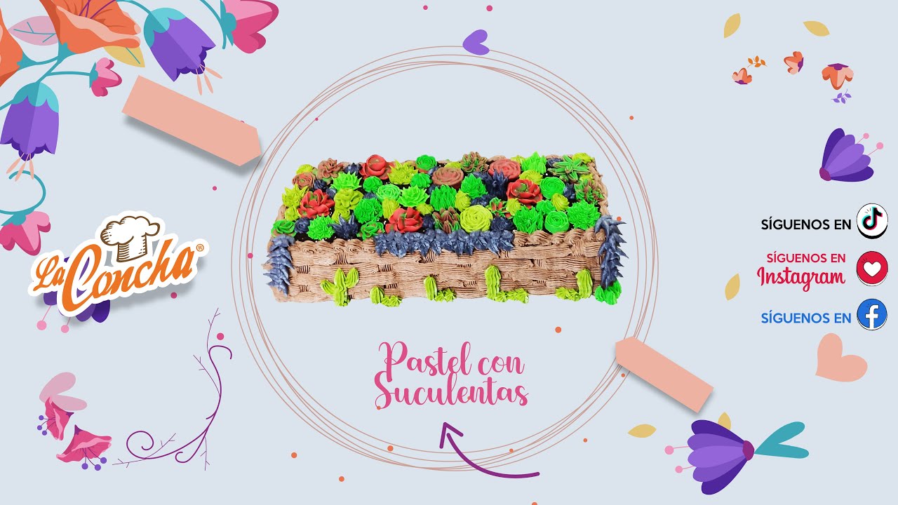 Pastel con Suculentas