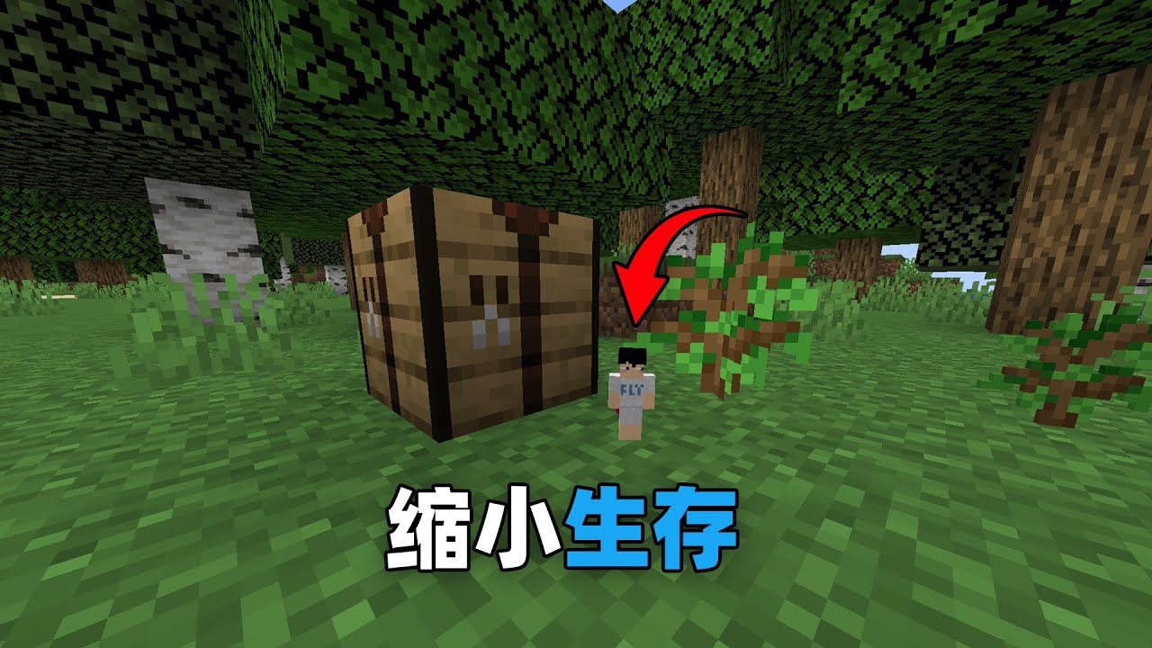 MC当你缩小100倍，世界变得超级巨大！怎么生存？