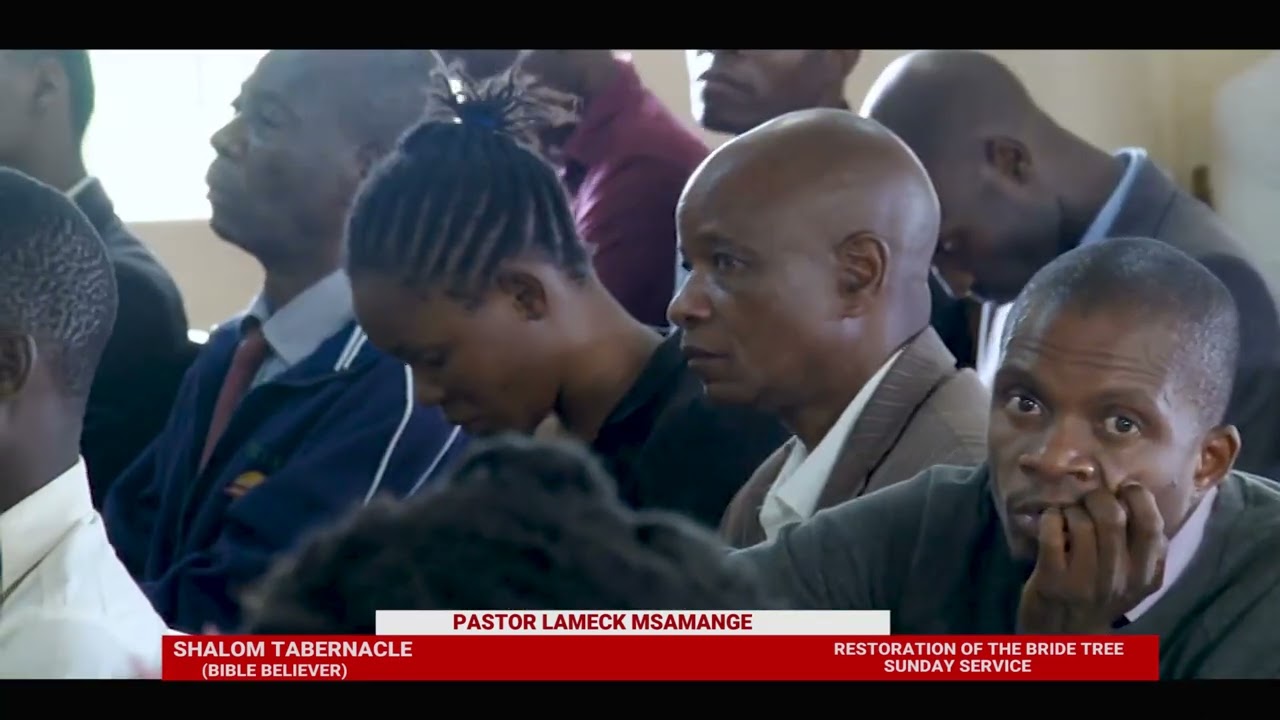 RESTORATION OF THE BRIDE TREE 2022