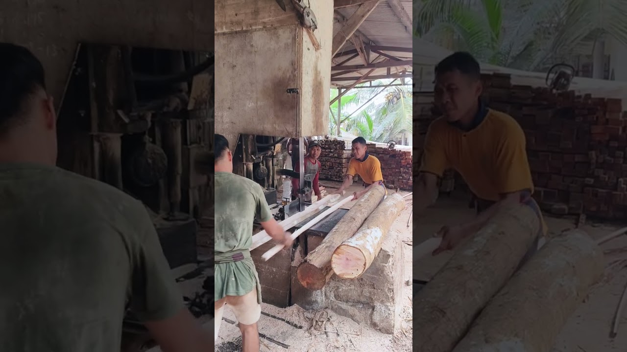 export quality wood sawing process#woodworking #