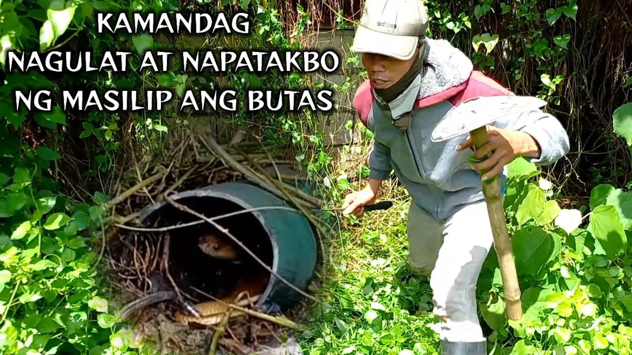 Kamandag nagulat at napatakbo ng masilip ang butas | JTG Kamandag