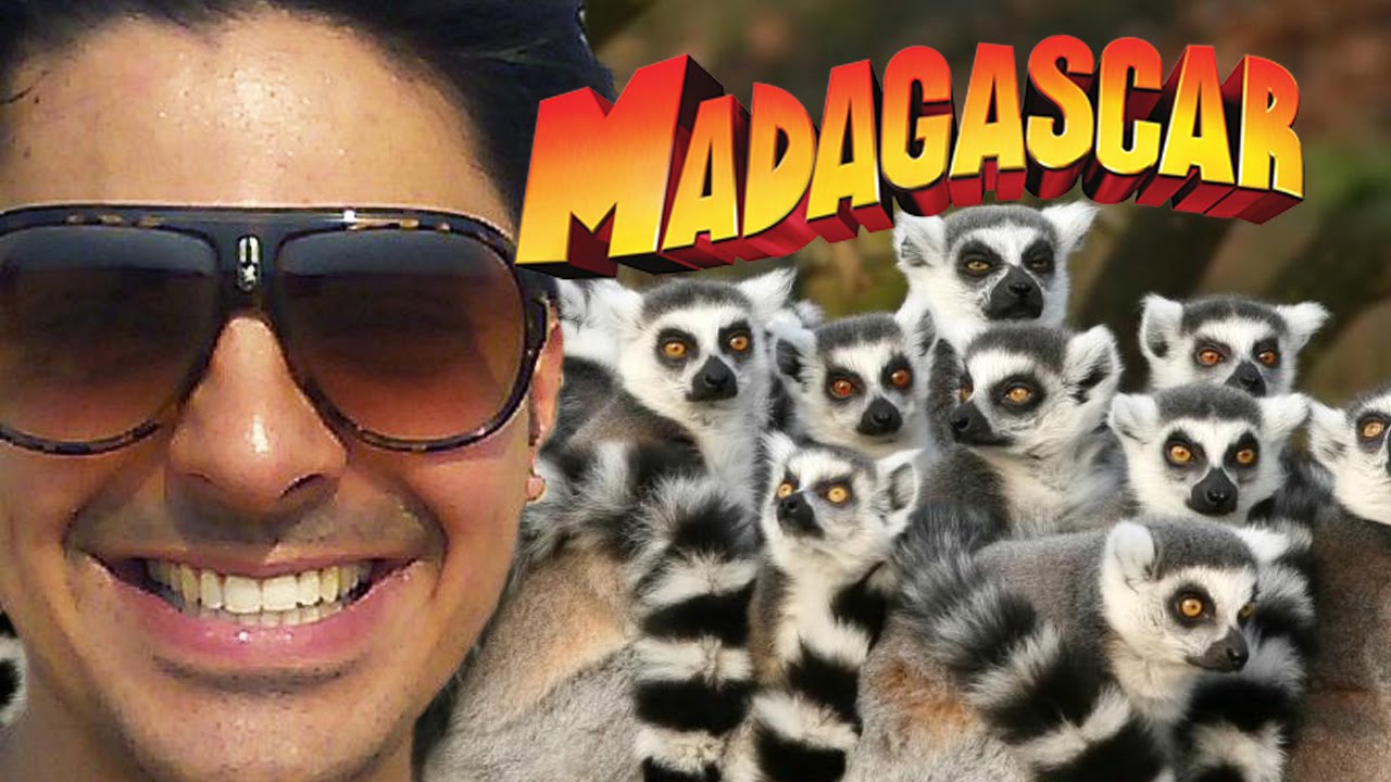 Lemurs of Madagascar!