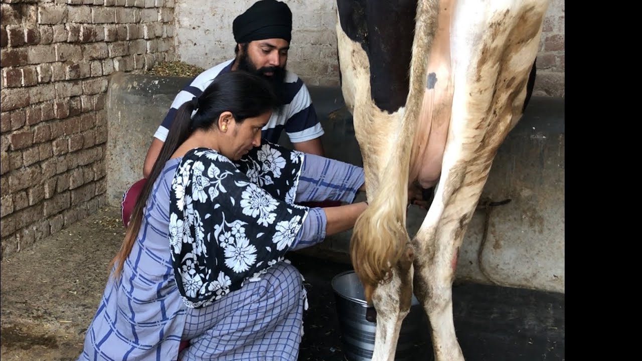 ਬੇਬੇ ਬਾਪੂ ਤੋਂ ਬਿਨਾਂ 1