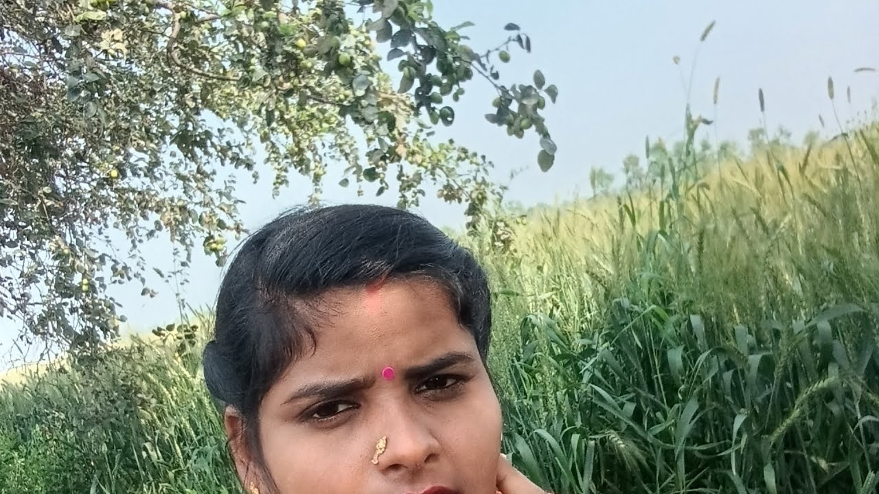 15 मार्च 2026