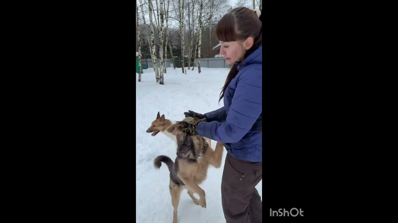 Мы верим в силу  репостов🙏🏻Жизнь ангелов 