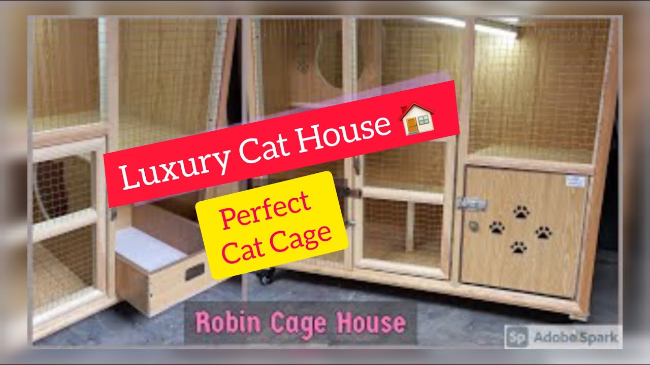 Cat House  || Cat Enclouser Idea's || Perfect Cat Cage
