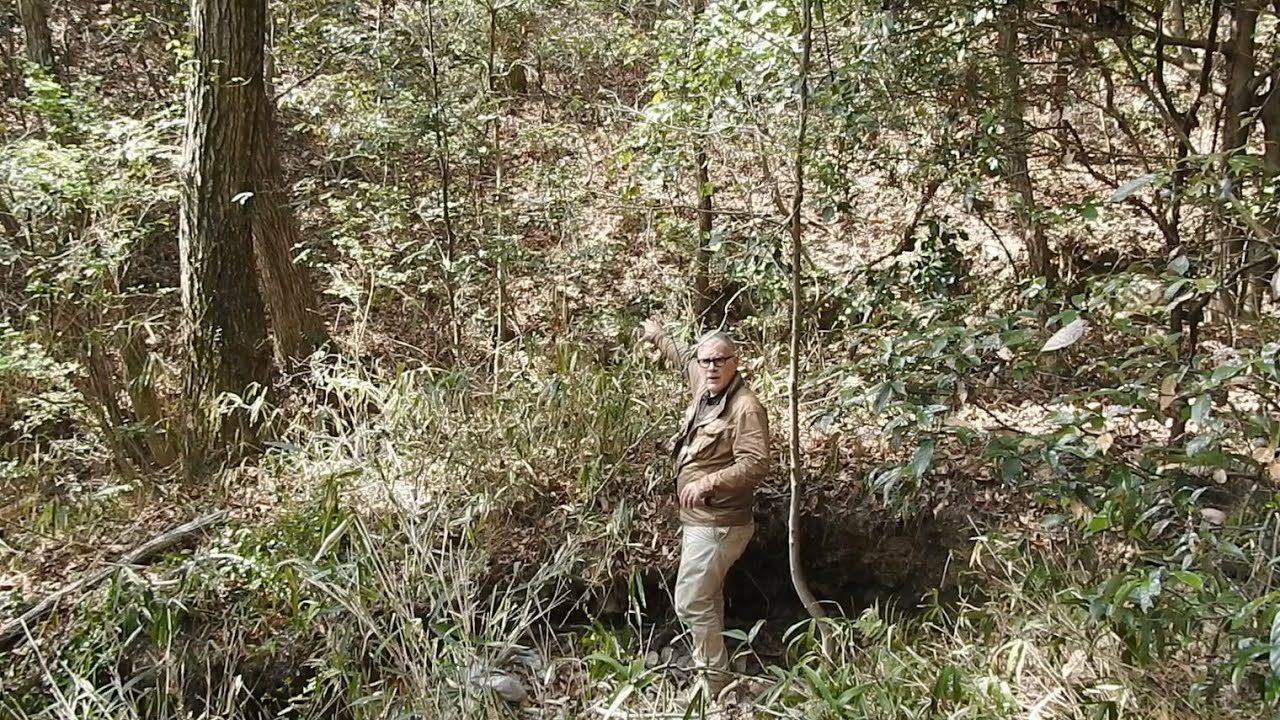 Exploration/Tour of Mt Zao Castle: 3rd Ring West 茨城 (古代山城) 蔵王山  福山市
