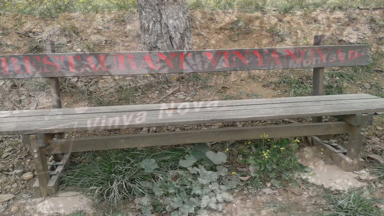 El bruc.Montserrat-Coll can maçana.Vinyanova-2016.mp4.