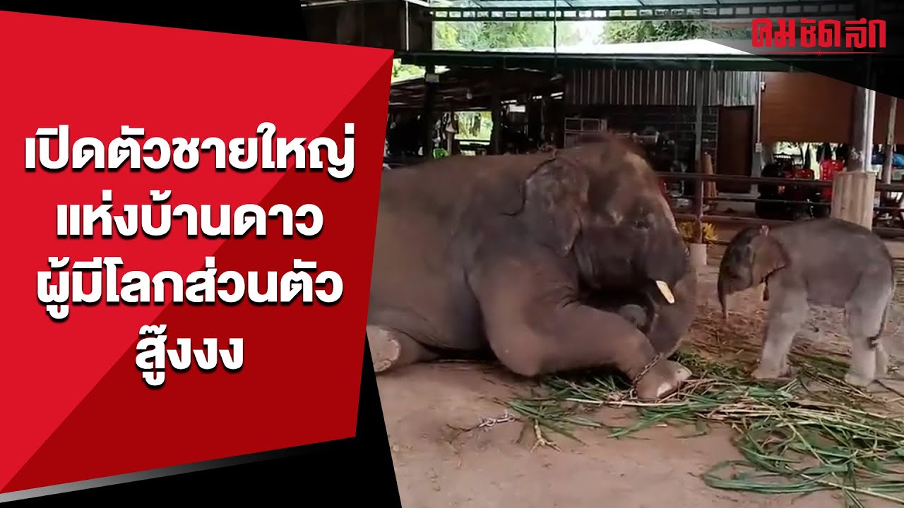 เปิดตัวชายใหญ่ แห่งบ้านดาว ผู้มีโลกส่วนตัวสู๊งงง | คมSocial