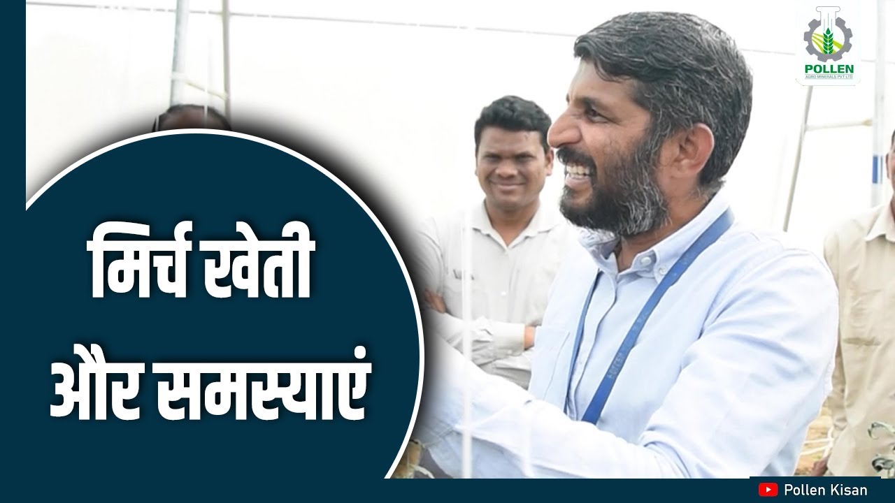 मिर्च की खेती जानकारी | Pollen Kisan