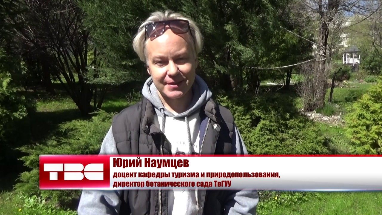 ПРОГРАММА  