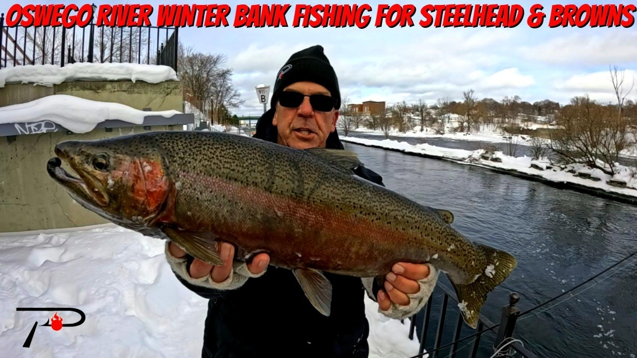 Bank Fishing STEELHEAD & Brown Trout on the Oswego River (No Boat Needed!)