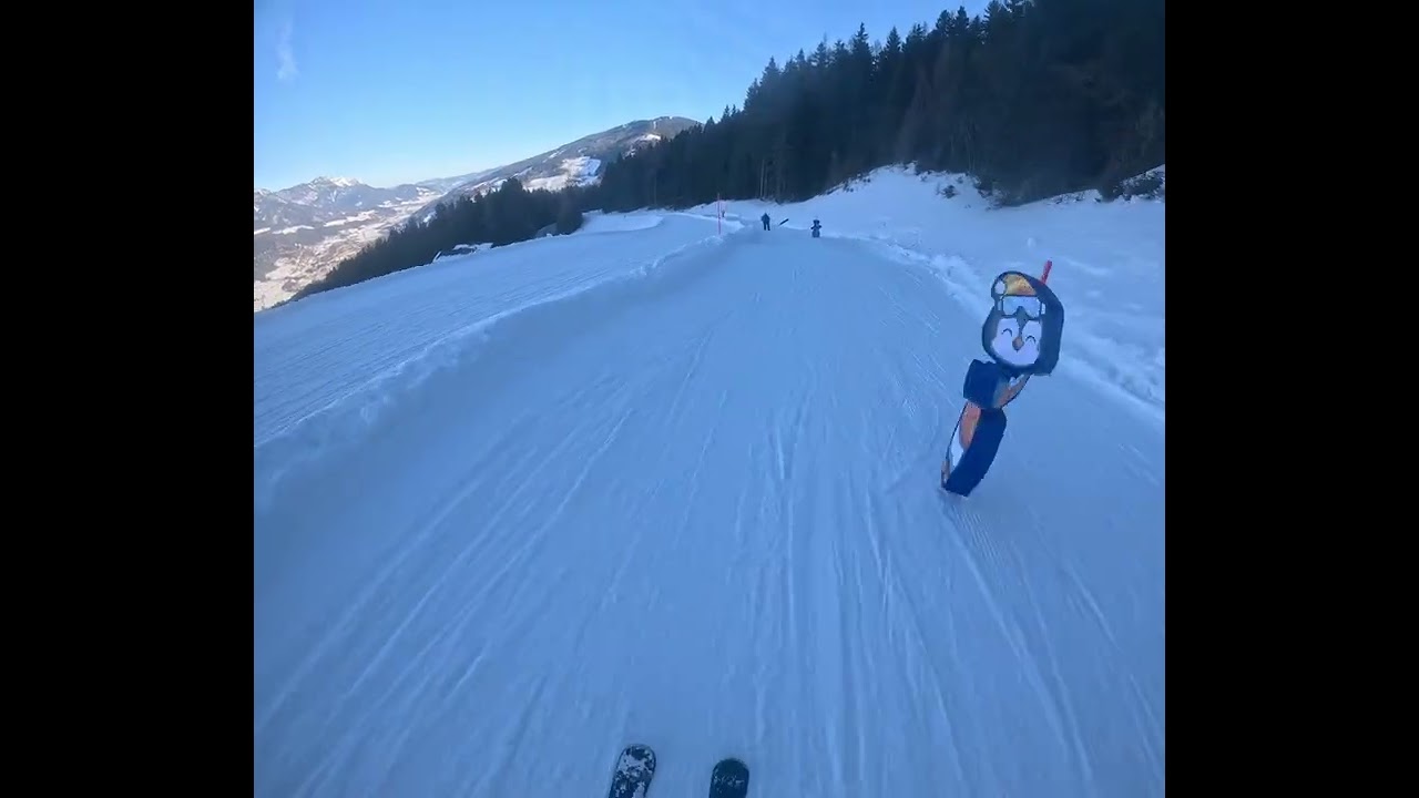 Hochwurzen Mittelstation blaue Piste