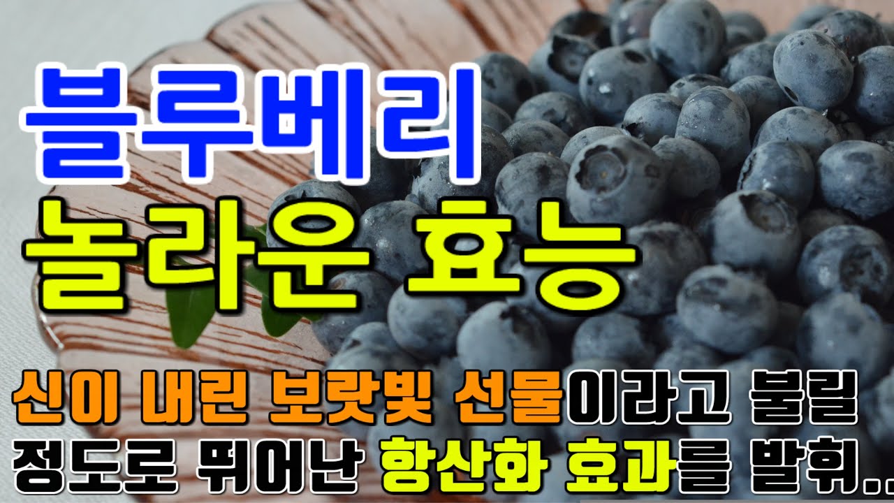 블루베리의 놀라운 효능 8가지 & 부작용 / 