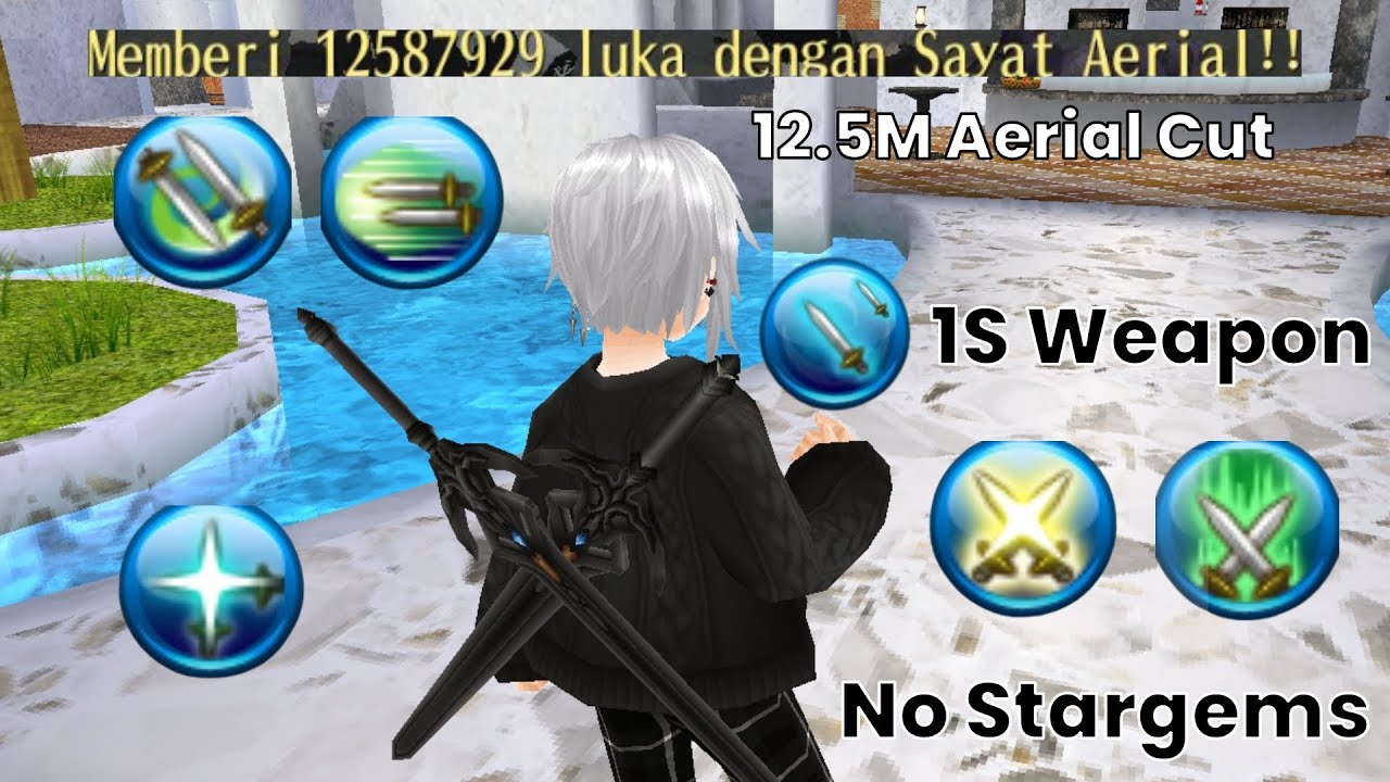 Ds Agi Str 12.5M Aerial Level 305 Build | Toram Online