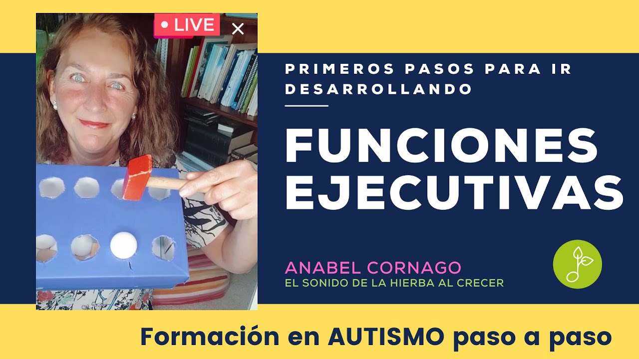 Primeros pasos con Funciones Ejecutivas