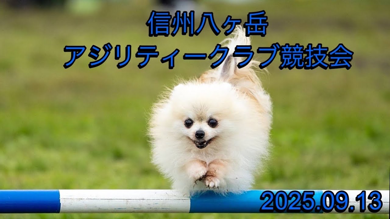 信州八ヶ岳アジリティークラブ競技会　2025.09.13