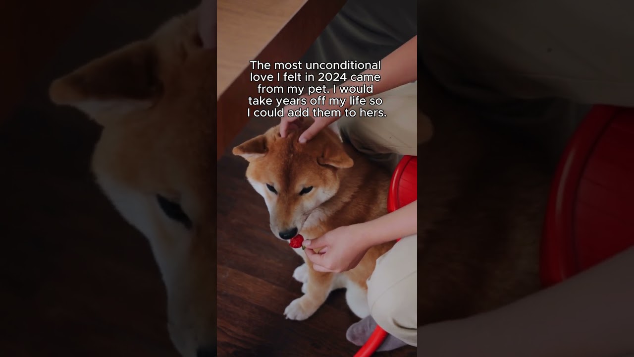Subscribe for the ultimate pet-lover content.  ❤️🐾