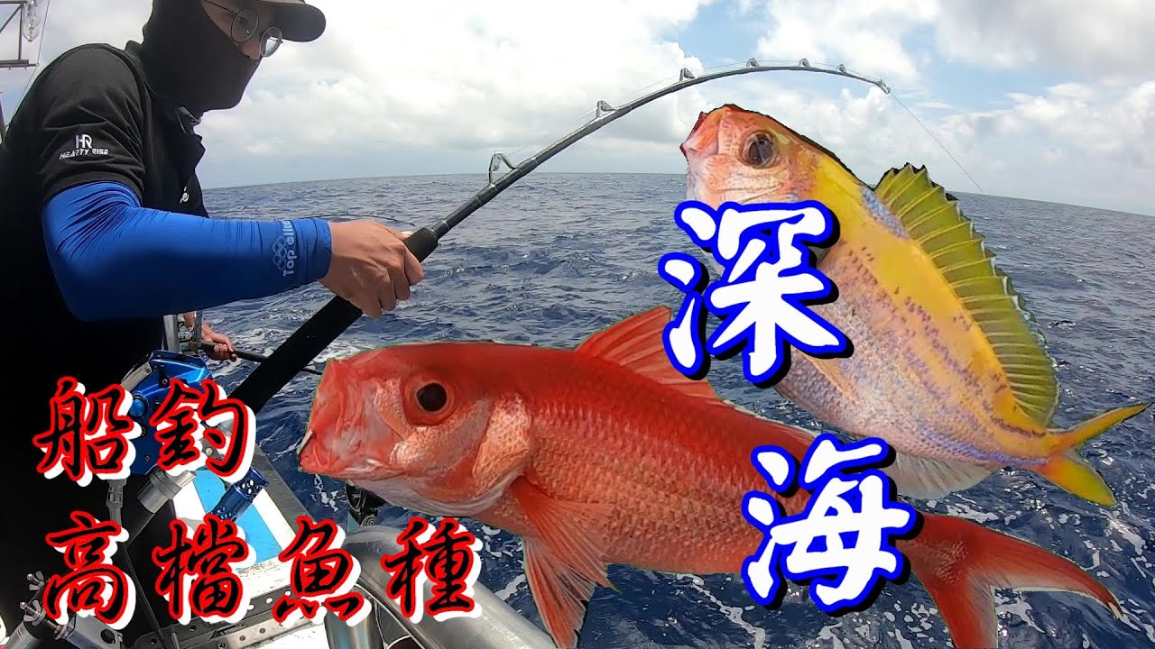 船釣水下200米的深海怪鳥魚、金雞母魚也來熱鬧-海星169