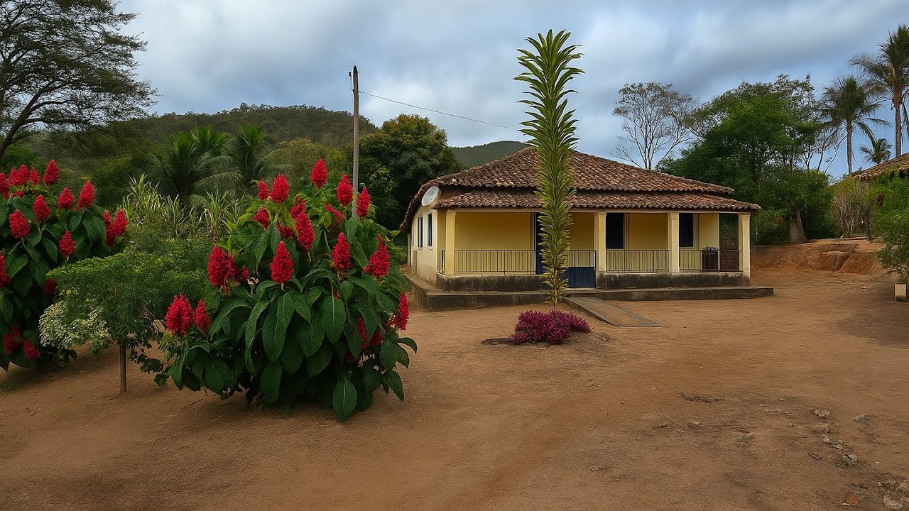VENDE FAZENDA 🚜 115 Hectares | Beira da BR-116 | 23KM Teófilo Otoni | 5KM Mucuri