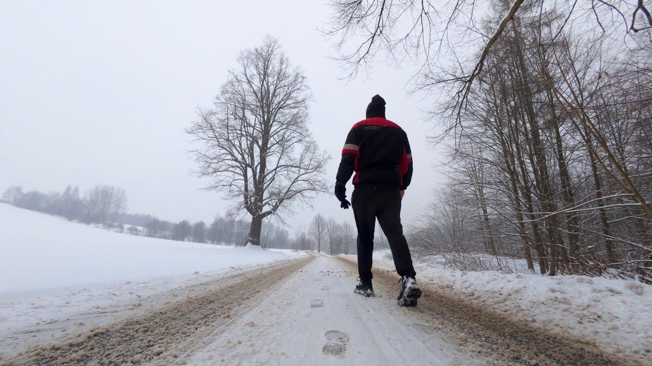 Winter vlog wtih my dog Bruno more snow. 